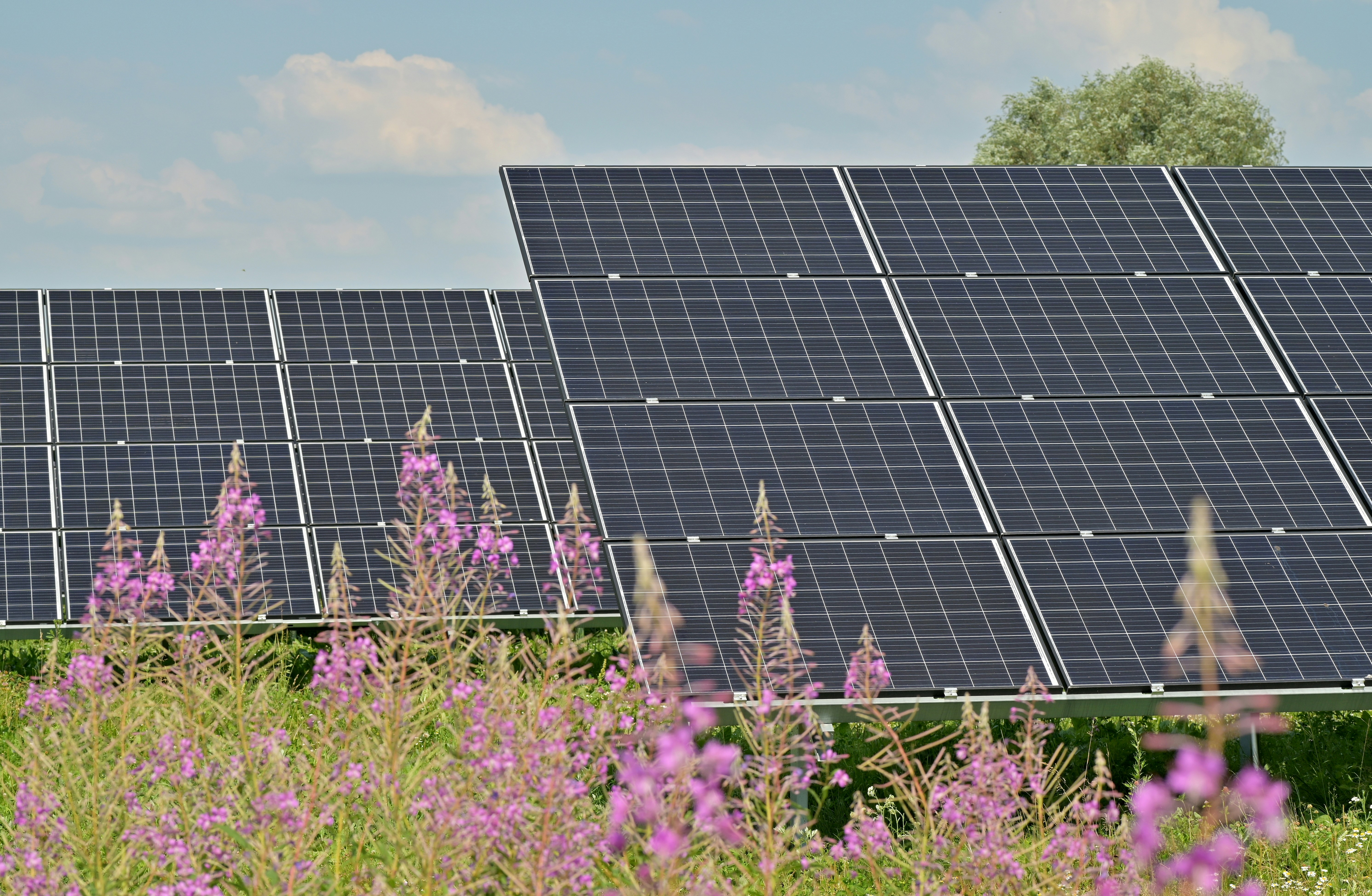 Solar Panel